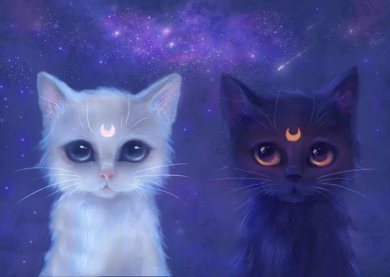 树立你的盾牌，划定你的边界！